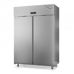 Armoire négative groupe logé 1200 L - 2 portes pleines - DALMEC - DA1200N-4