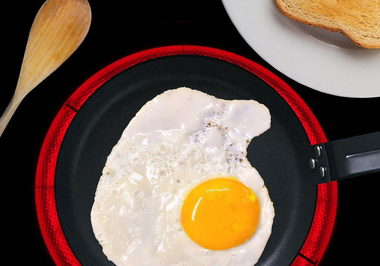 Quelle est la différence entre une plaque de cuisson à induction